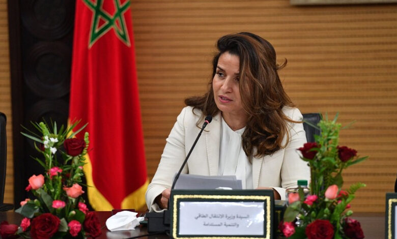 إعادة انتخاب المغرب في اللجنة التنفيذية للمنتدى الحكومي الدولي للتعدين والمعادن