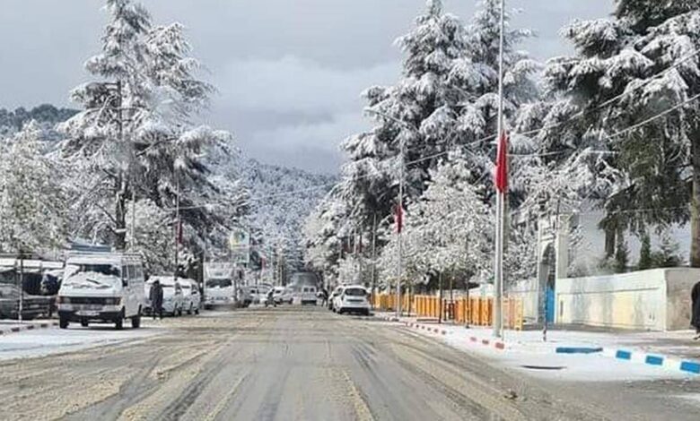 نشرة إنذارية...تساقطات ثلجية وهبات رياح محليا قوية من يومي الخميس والجمعة بعدد من أقاليم المملكة 1 الثلج