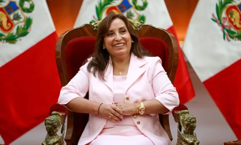 دينا بولوارتي